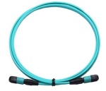 MPO TO MPO Trunk Cable  8core